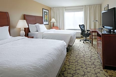 Suite King Bed One Bedroom 