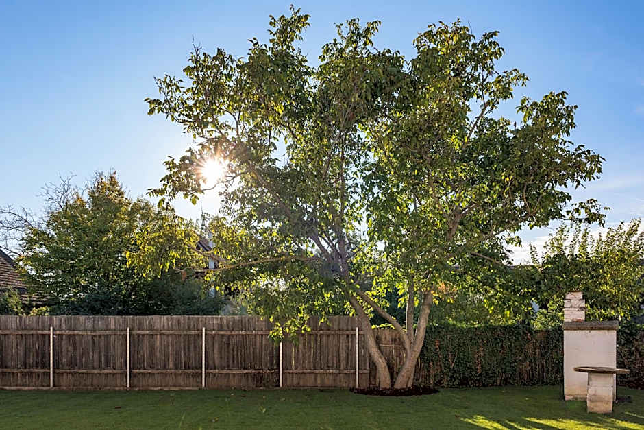 Tschardakenhof Appartements