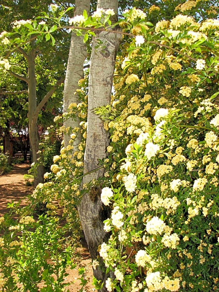 Villas of Sedona, a VRI resort