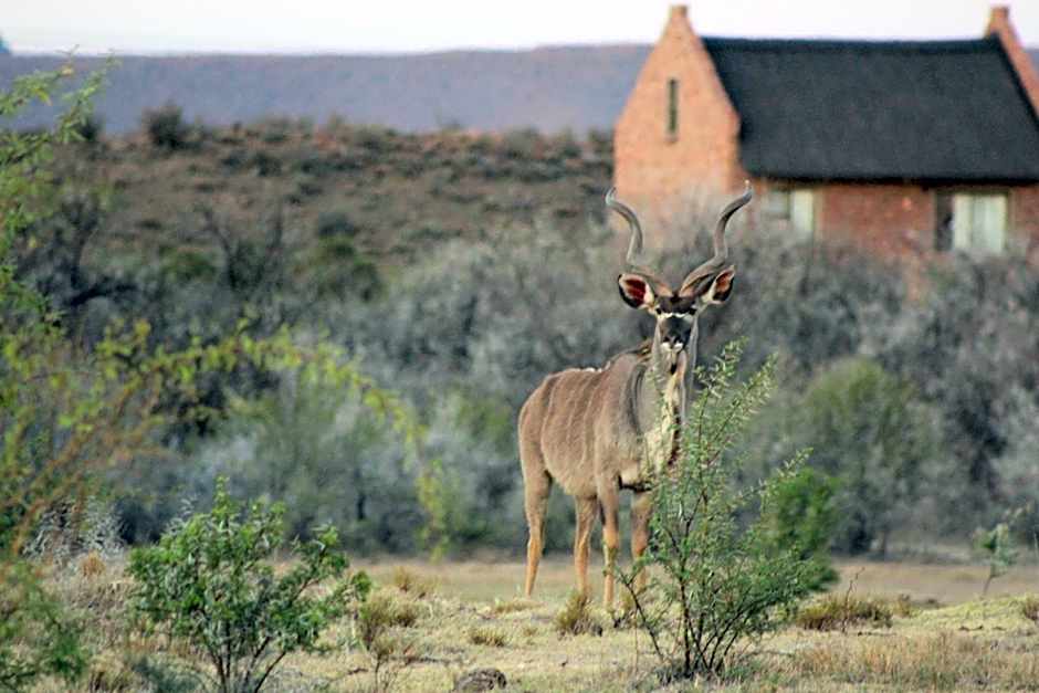 Teri-Lemveli Lodge