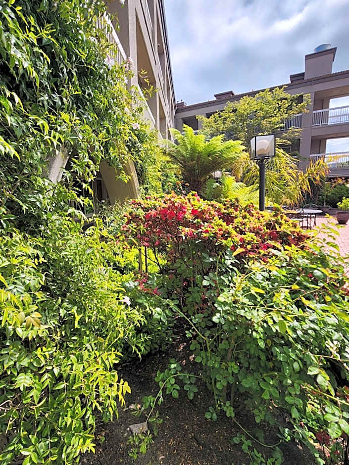 La Quinta Inn & Suites by Wyndham San Francisco Airport West