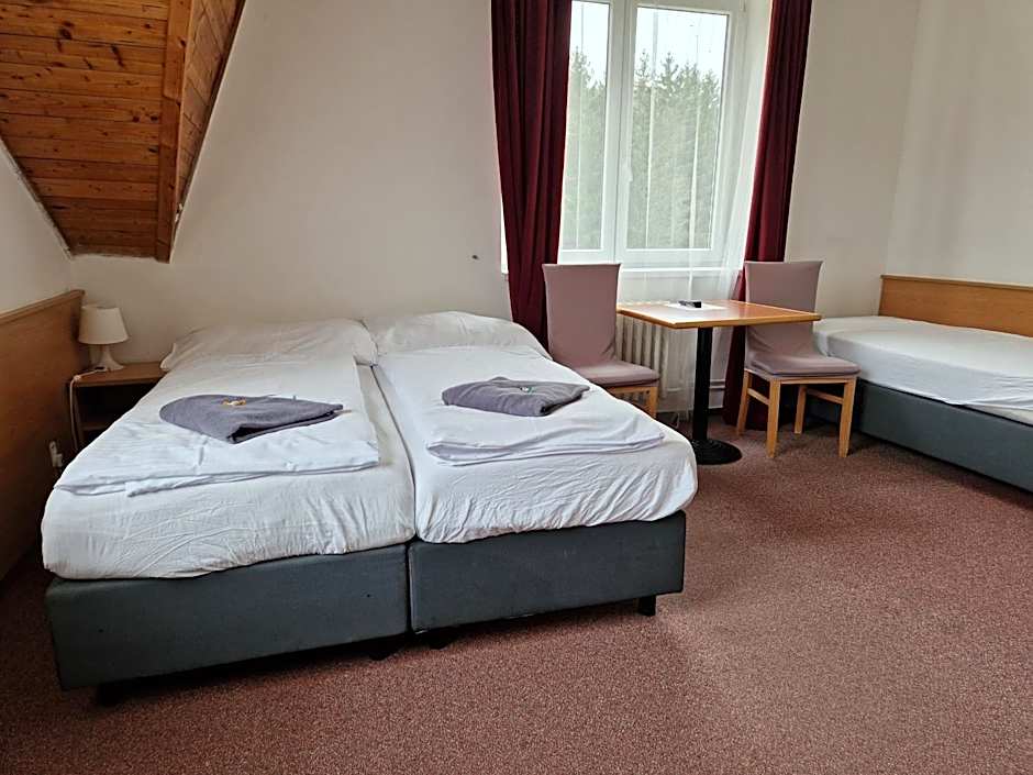 Hotel Harrachov Inn