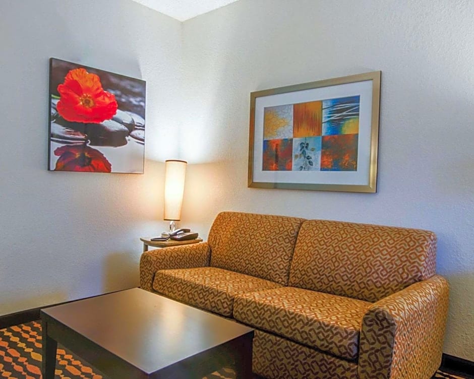 Comfort Suites Northside Hospital Gwinnett