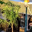 Hotel Les Palmiers