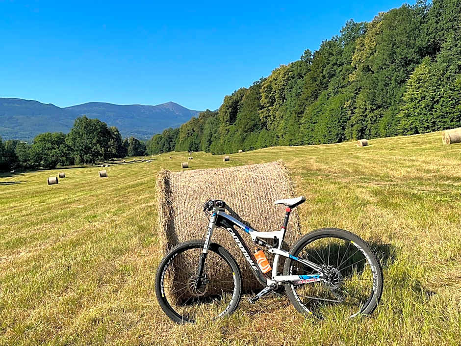 Margo Bukowiec koło Karpacza