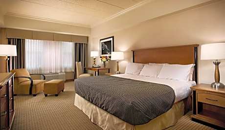 Deluxe King Room