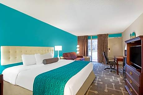 Standard Room with One King Bed - Smoking