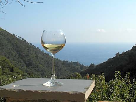 Agriturismo Costa di Campo