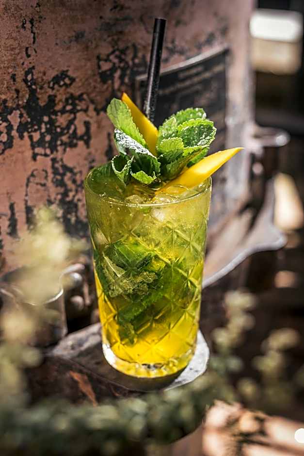 Stay Swanky Bed & Breakfast