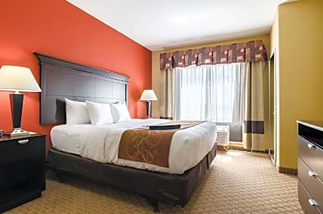 1 King Bed Suite Nonsmoking Accessible