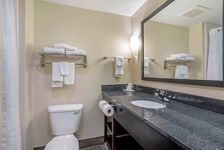 Comfort Suites Knoxville East