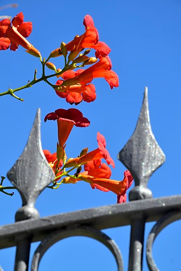 B&B Les Fleurs