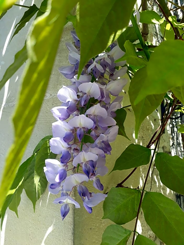 Une Parenthèse en Champagne - Chambres d'hôtes