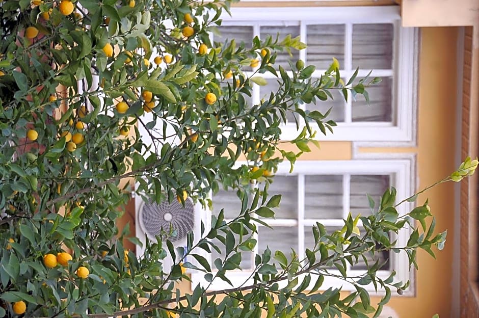 Antikhan Hotel