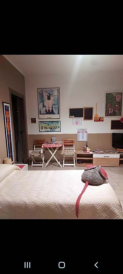 Affittacamere Erbagatta