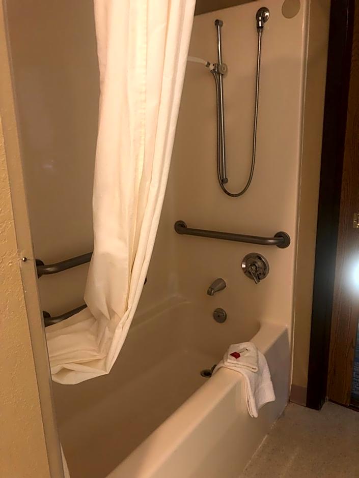 Microtel Inn & Suites By Wyndham Mason/Kings Island