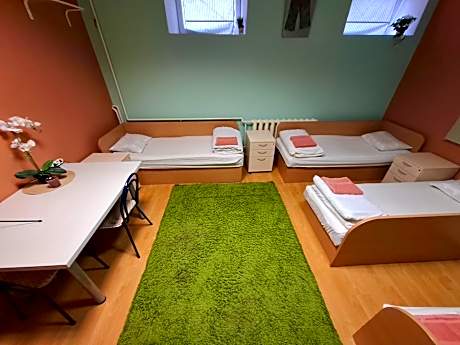 Bed in 4-Bed Mixed Dormitory Room
