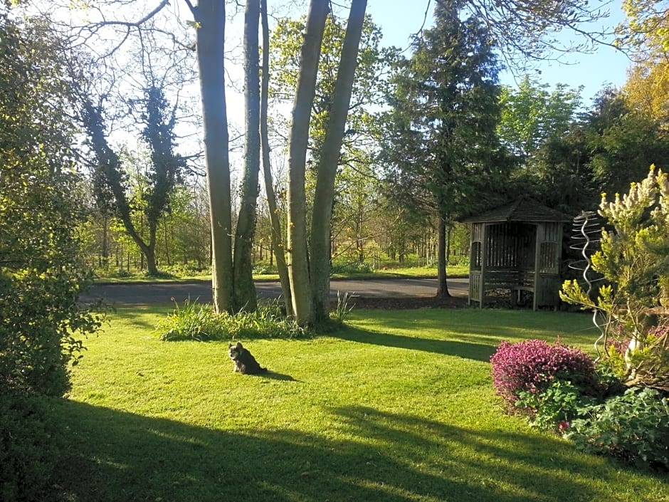 Folly Studio Bed and Breakfast