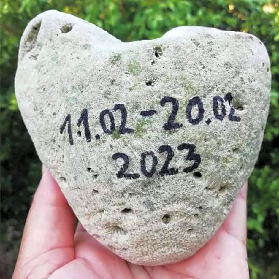 Farm House kohyaoyai