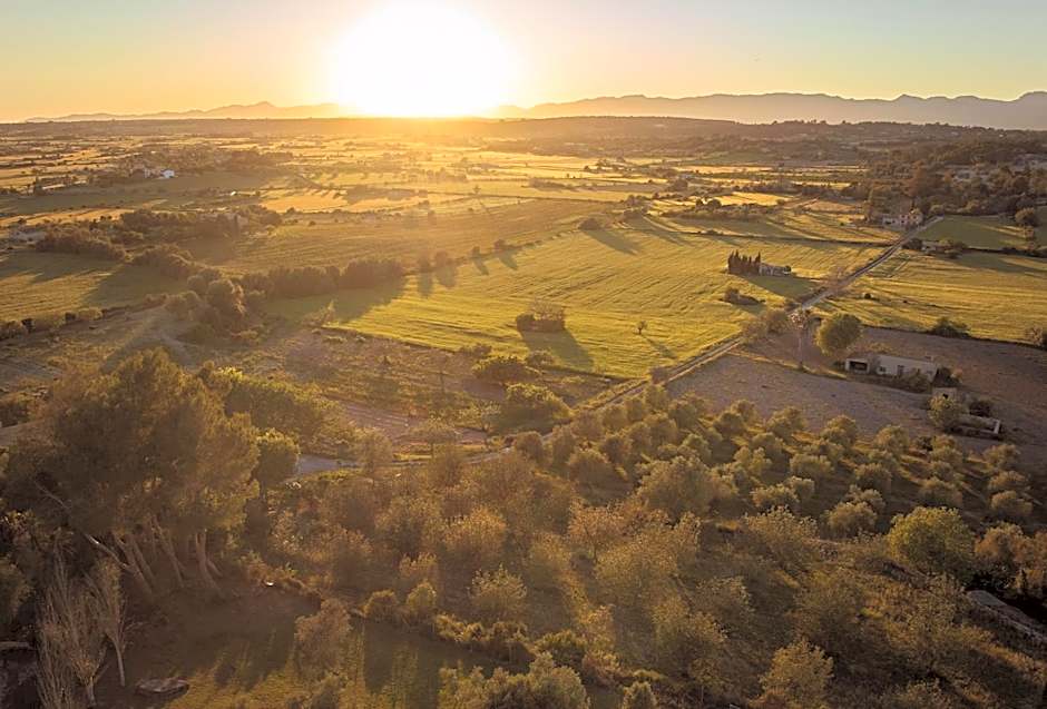 Es Figueral Nou Hotel Rural & Spa - Adults Only - Over 12