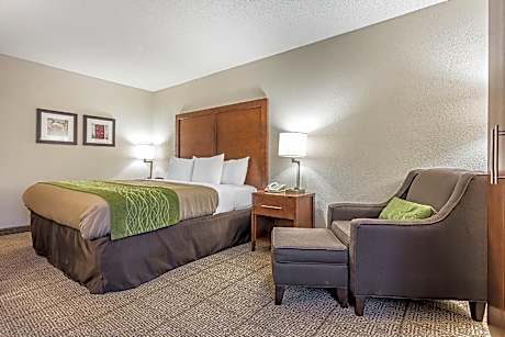 1 King Bed, Nonsmoking