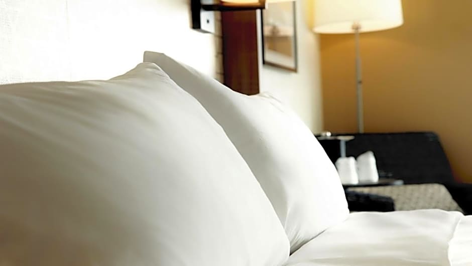 Holiday Inn Hotel & Suites Overland Park-Convention Center By IHG