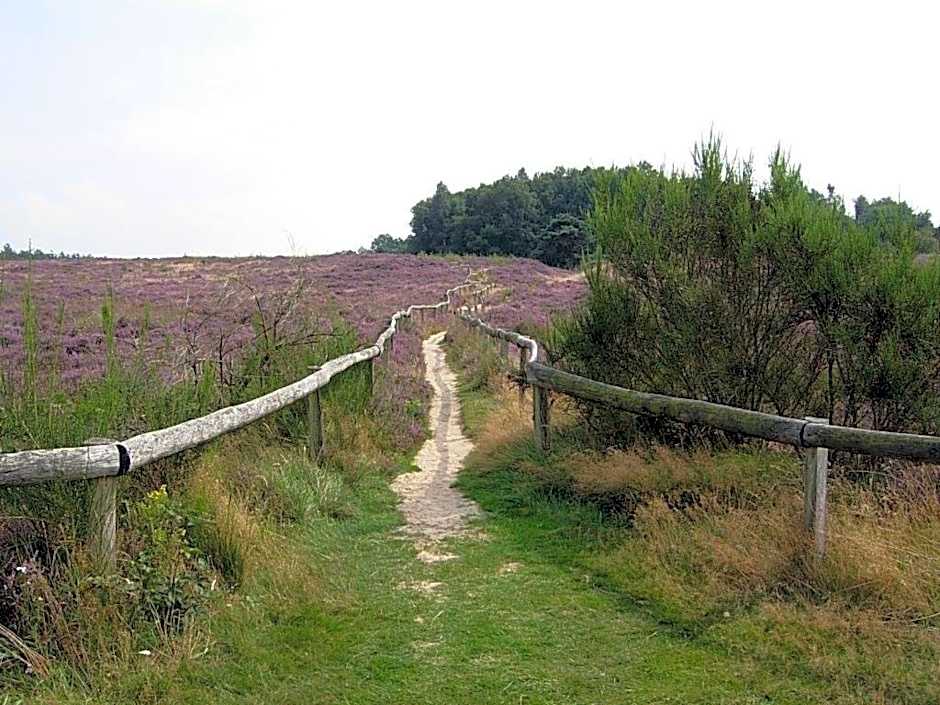 De Veurdeale