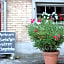 Bed and Breakfast Wegmann