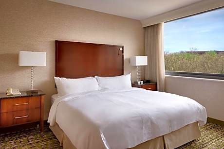 One-Bedroom King Suite with Sofa Bed