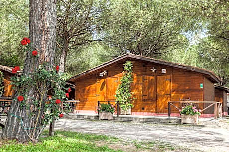 Two-Bedroom Chalet with Kitchen
