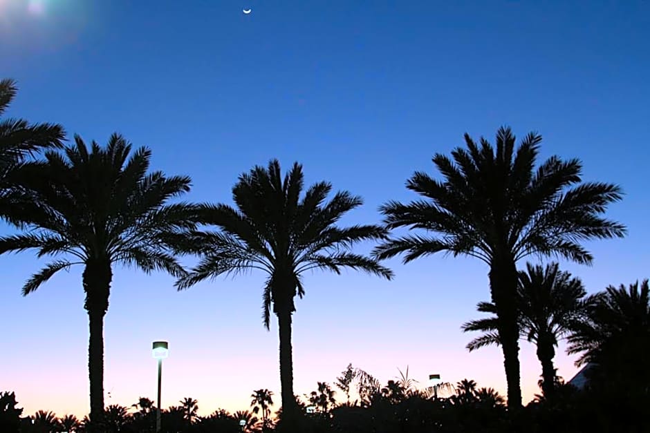 Moody Gardens Hotel Spa And Convention Center