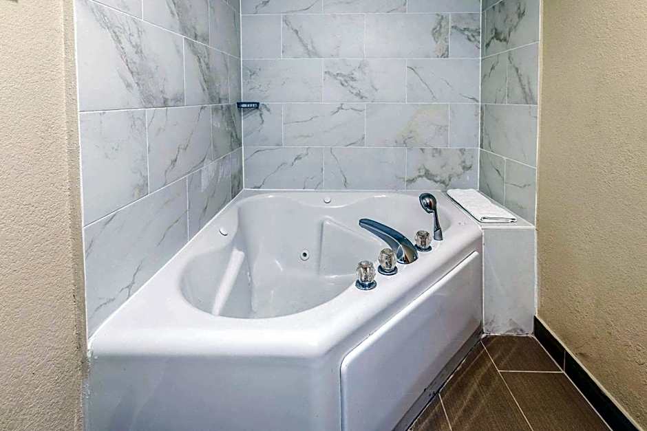 Comfort Inn Detroit Downtown