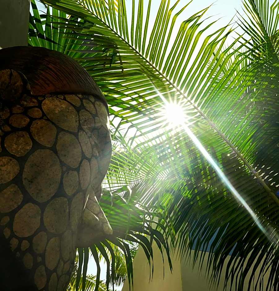 Nikau Hotel El Cuyo - Adults Only