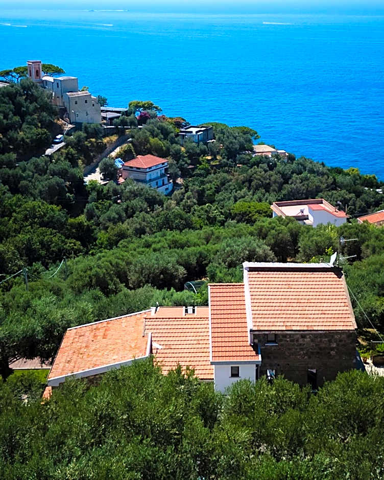 Casa Clementina Marciano