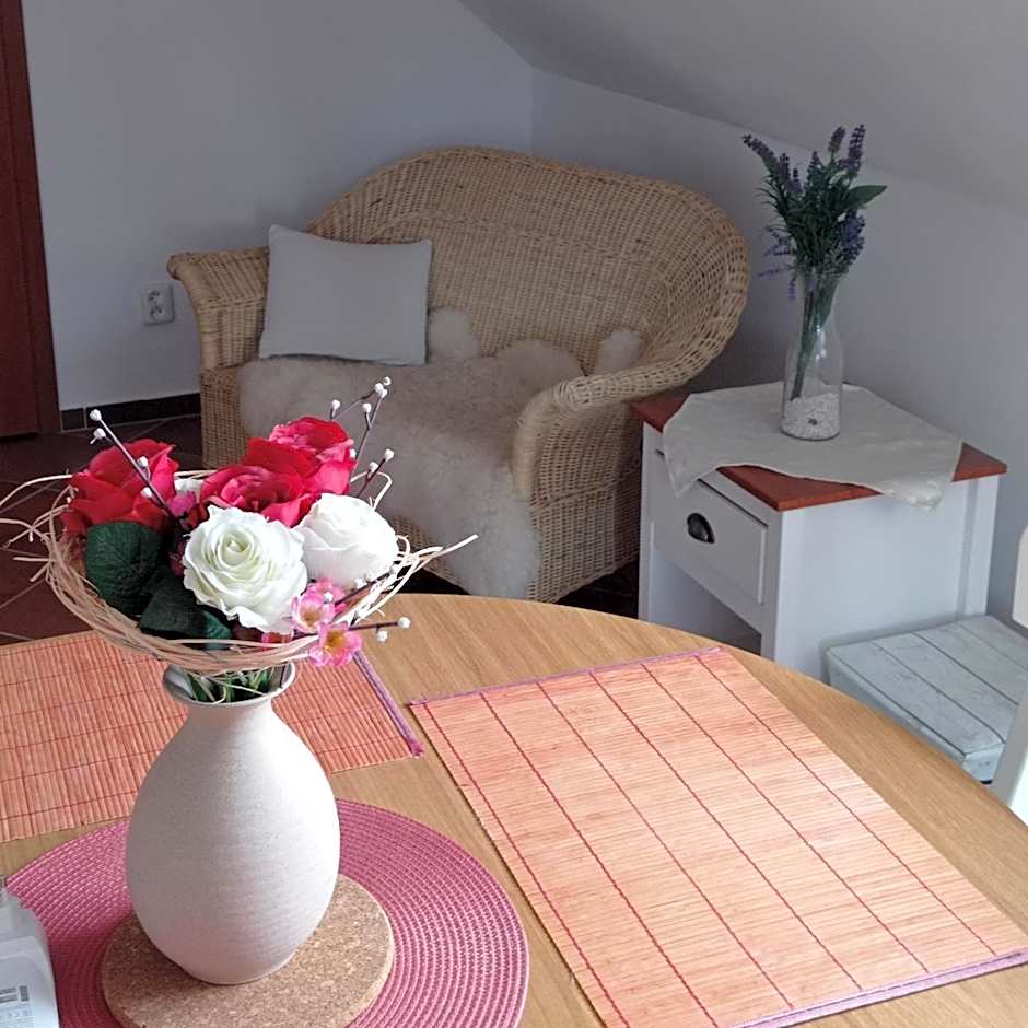 Apartmány U Orlického jezera - Kamenice