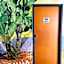 YHA Coolangatta Gold Coast