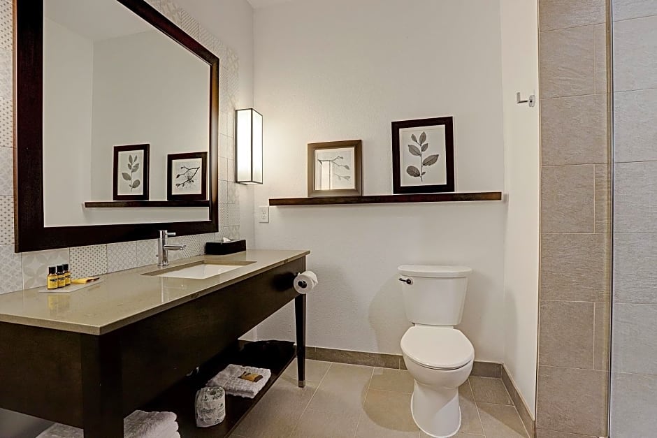 Best Western Plus Westheimer - Westchase Inn & Suites