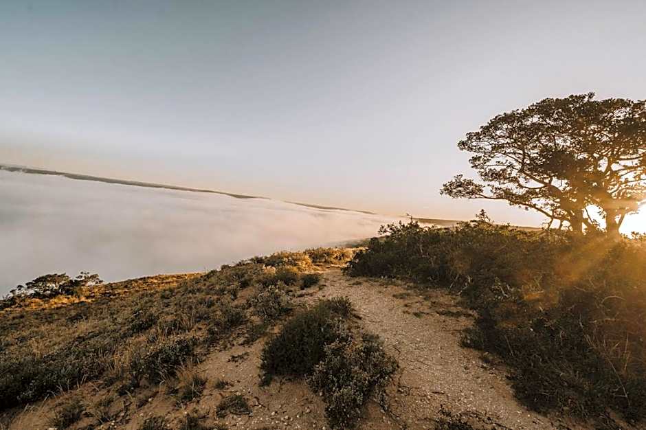 Bukela Game Lodge - Amakhala Game Reserve