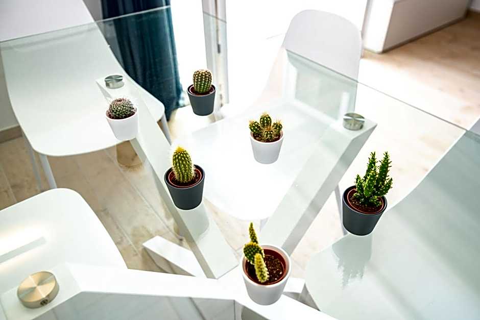 Le Casette - Leccino