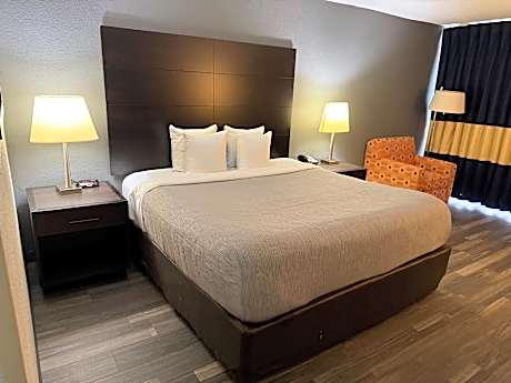 King Bed Accessible Rollin Shower Non Smoking