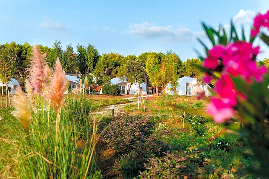 Torre Cintola Greenblu Sea Emotions