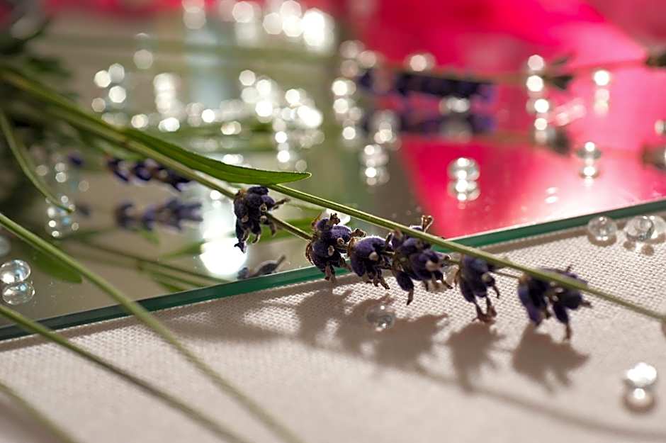 Akzent Hotel Restaurant Hirsch