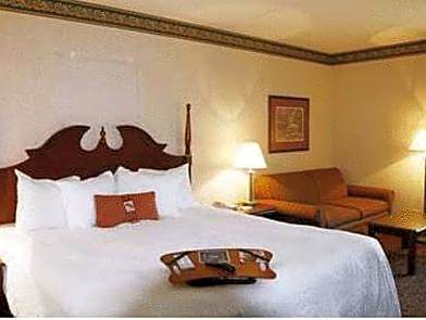 Deluxe King Bed