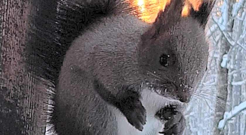 Pension Itsuka Furano e