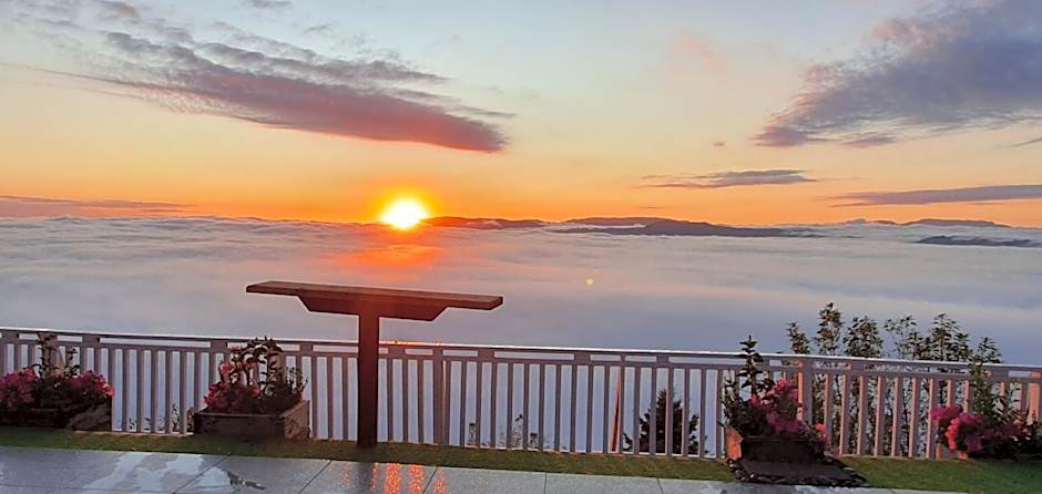 Aorangi Peak Holiday House