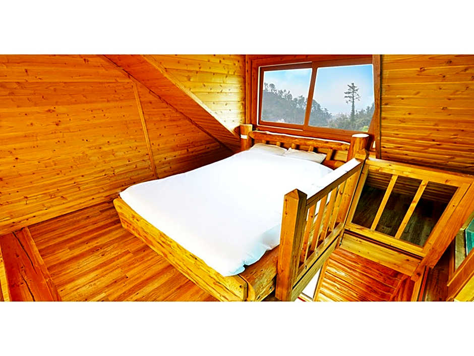 Attene Pension
