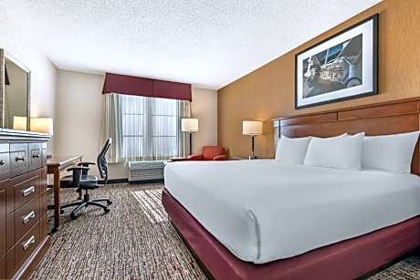 Deluxe King Room - Accessible, Roll-in Shower