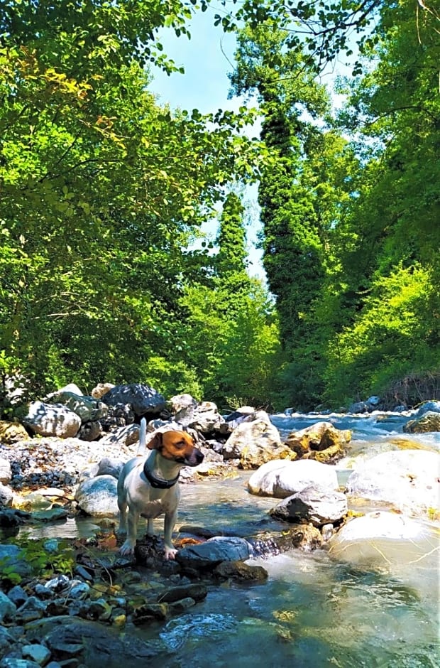 B&B Il Ghiro-Country House