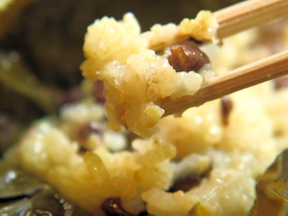 Echigoya Ryokan