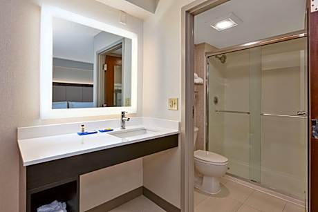 1 King Suite Walk In Shower